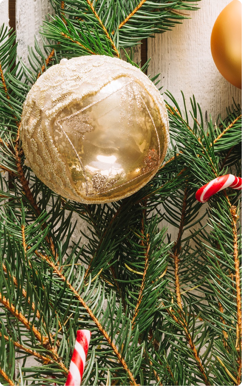 Why We Created the Cottage1